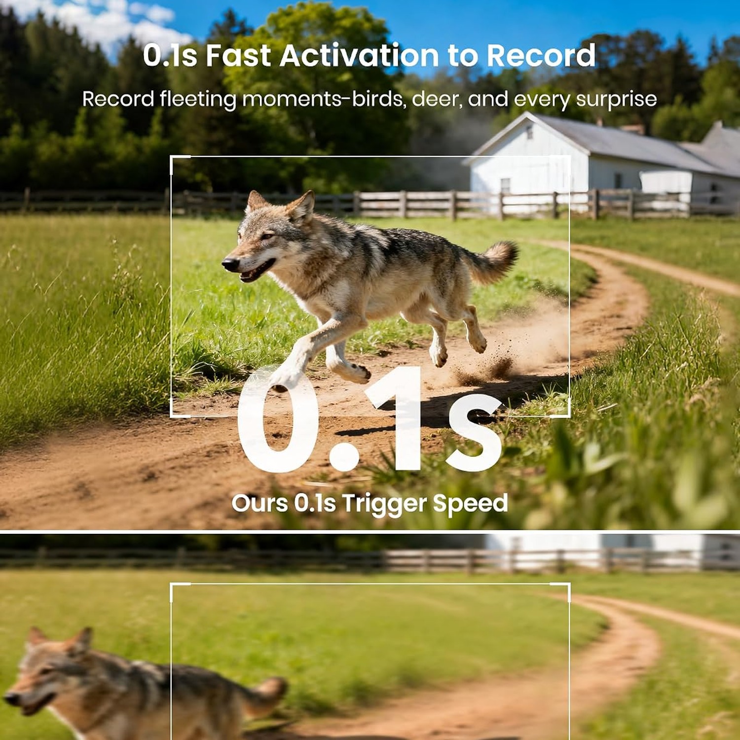 Solar Powered 4K Trail Camera with 64MP Photos and Night Vision: image 7